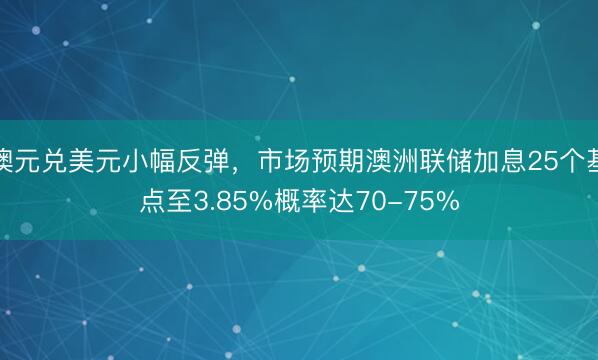 澳元兑美元小幅反弹，市场预期澳洲联储加息25个基点至3.85%概率达70-75%