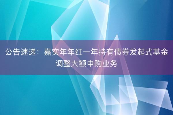公告速递：嘉实年年红一年持有债券发起式基金调整大额申购业务