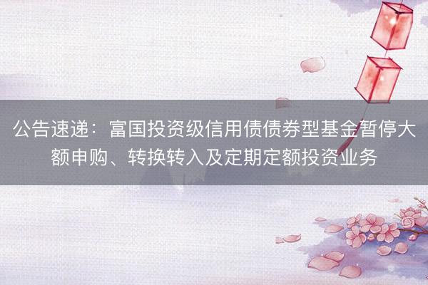 公告速递：富国投资级信用债债券型基金暂停大额申购、转换转入及定期定额投资业务