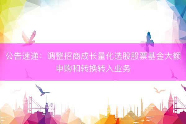 公告速递：调整招商成长量化选股股票基金大额申购和转换转入业务