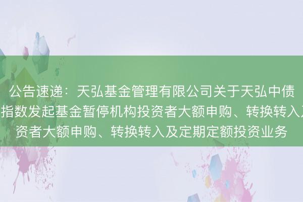 公告速递：天弘基金管理有限公司关于天弘中债1-5年政策性金融债指数发起基金暂停机构投资者大额申购、转换转入及定期定额投资业务