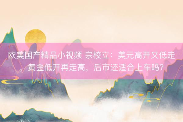 欧美国产精品小视频 宗校立：美元高开又低走，黄金低开再走高，后市还适合上车吗？