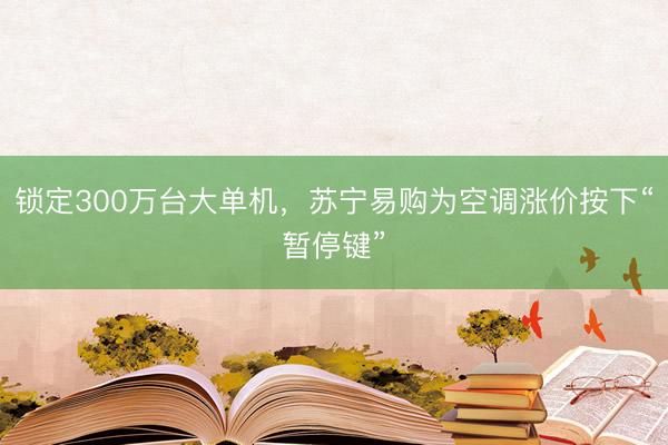 锁定300万台大单机，苏宁易购为空调涨价按下“暂停键”