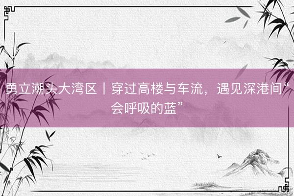 勇立潮头大湾区丨穿过高楼与车流，遇见深港间“会呼吸的蓝”