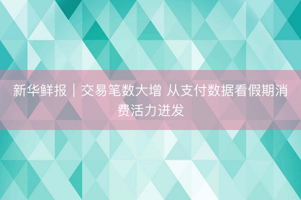 新华鲜报｜交易笔数大增 从支付数据看假期消费活力迸发