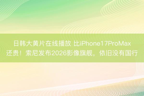 日韩大黄片在线播放 比iPhone17ProMax还贵！索尼发布2026影像旗舰，依旧没有国行