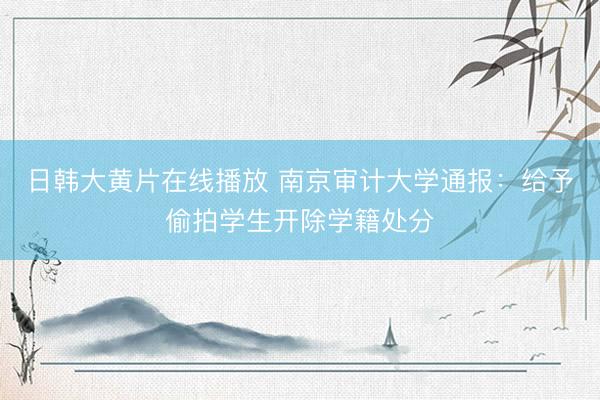 日韩大黄片在线播放 南京审计大学通报：给予偷拍学生开除学籍处分