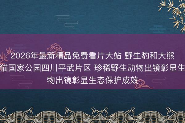 2026年最新精品免费看片大站 野生豹和大熊猫现身大熊猫国家公园四川平武片区 珍稀野生动物出镜彰显生态保护成效