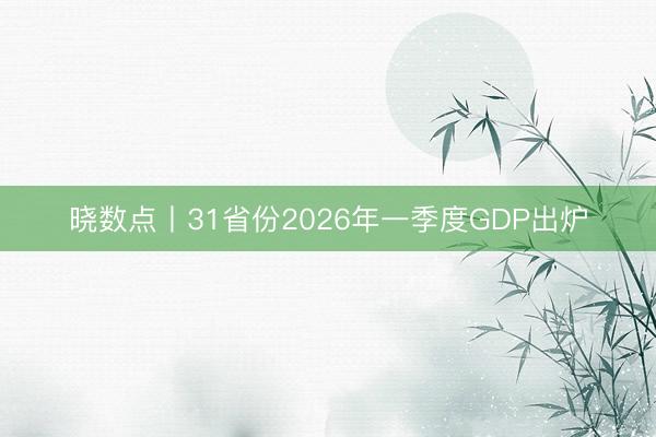 晓数点丨31省份2026年一季度GDP出炉