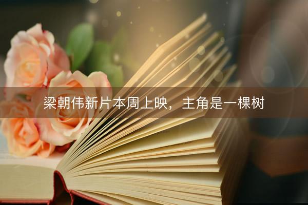 梁朝伟新片本周上映，主角是一棵树