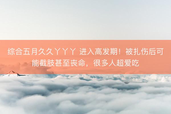 综合五月久久丫丫丫 进入高发期!被扎伤后可能截肢甚至丧命,很多人超爱吃