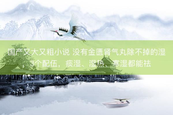 国产又大又粗小说 没有金匮肾气丸除不掉的湿，3个配伍，痰湿、湿热、寒湿都能祛