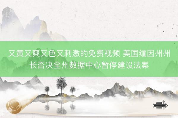 又黄又爽又色又刺激的免费视频 美国缅因州州长否决全州数据中心暂停建设法案