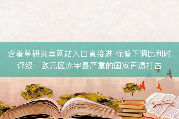含羞草研究室网站入口直接进 标普下调比利时评级：欧元区赤字最严重的国家再遭打击