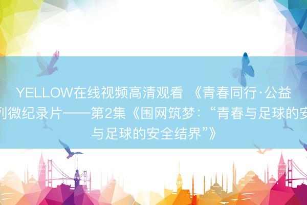 YELLOW在线视频高清观看 《青春同行·公益筑梦》系列微纪录片——第2集《围网筑梦：“青春与足球的安全结界”》