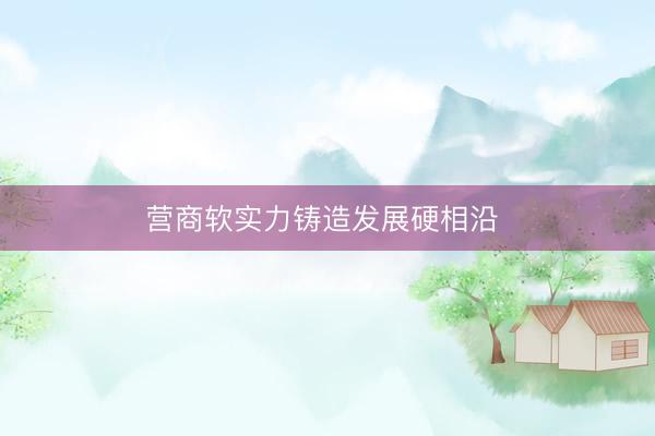 营商软实力铸造发展硬相沿 