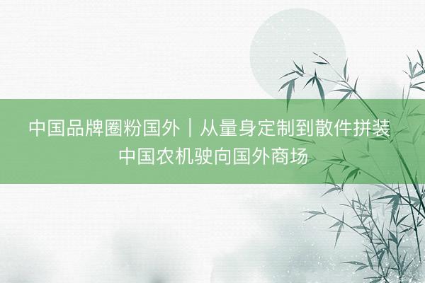 中国品牌圈粉国外|从量身定制到散件拼装 中国农机驶向国外商场