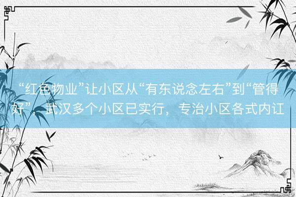 “红色物业”让小区从“有东说念左右”到“管得好”，武汉多个小区已实行，专治小区各式内讧