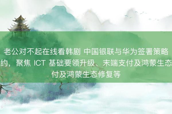 老公对不起在线看韩剧 中国银联与华为签署策略配合公约，聚焦 ICT 基础要领升级、末端支付及鸿蒙生态修复等
