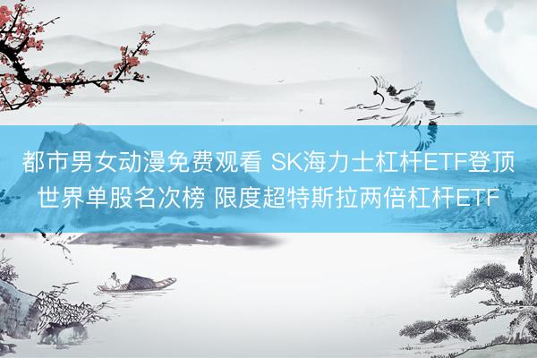 都市男女动漫免费观看 SK海力士杠杆ETF登顶世界单股名次榜 限度超特斯拉两倍杠杆ETF