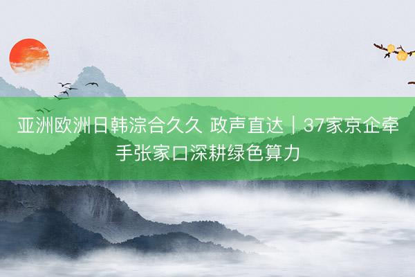亚洲欧洲日韩淙合久久 政声直达｜37家京企牵手张家口深耕绿色算力