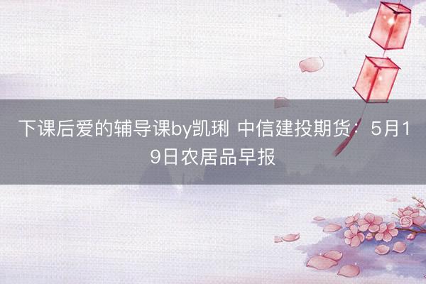 下课后爱的辅导课by凯琍 中信建投期货：5月19日农居品早报
