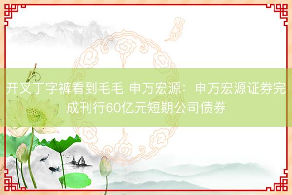 开叉丁字裤看到毛毛 申万宏源：申万宏源证券完成刊行60亿元短期公司债券