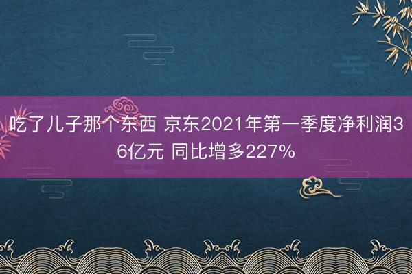 吃了儿子那个东西 京东2021年第一季度净利润36亿元 同比增多227%