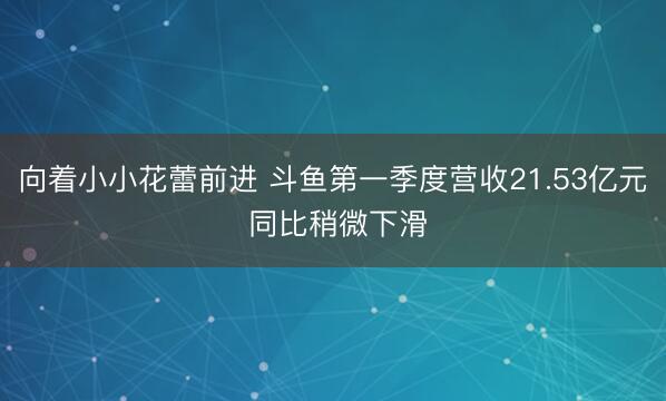 向着小小花蕾前进 斗鱼第一季度营收21.53亿元 同比稍微下滑