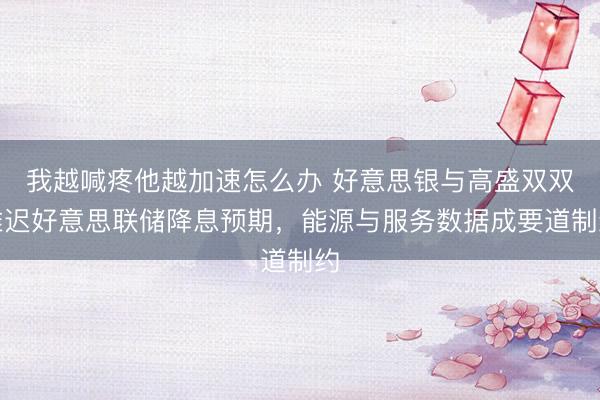我越喊疼他越加速怎么办 好意思银与高盛双双推迟好意思联储降息预期，能源与服务数据成要道制约