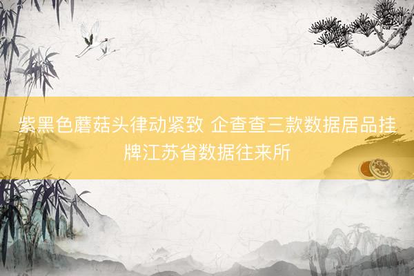 紫黑色蘑菇头律动紧致 企查查三款数据居品挂牌江苏省数据往来所
