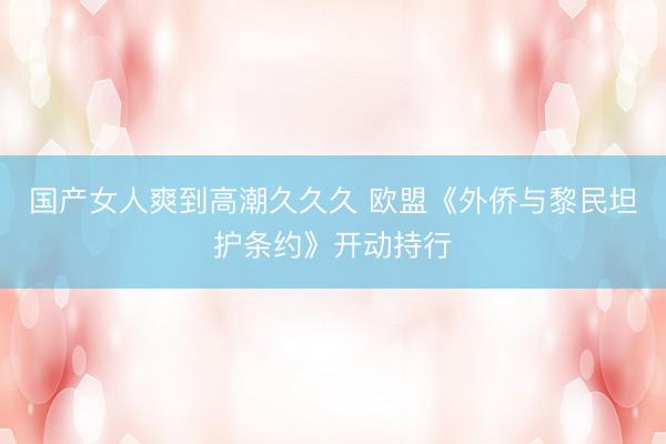 国产女人爽到高潮久久久 欧盟《外侨与黎民坦护条约》开动持行