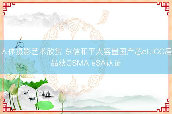人体摄影艺术欣赏 东信和平大容量国产芯eUICC居品获GSMA eSA认证