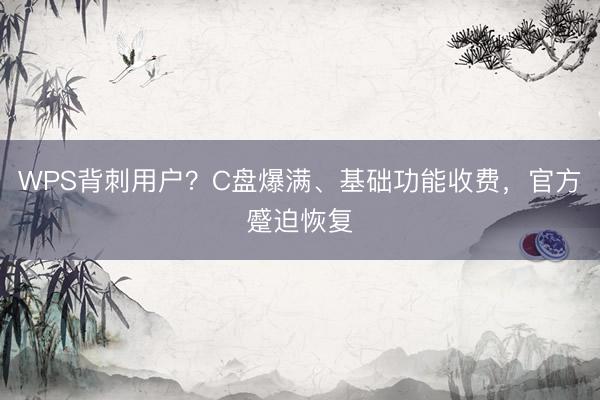 WPS背刺用户？C盘爆满、基础功能收费，官方蹙迫恢复