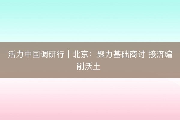 活力中国调研行｜北京：聚力基础商讨 接济编削沃土