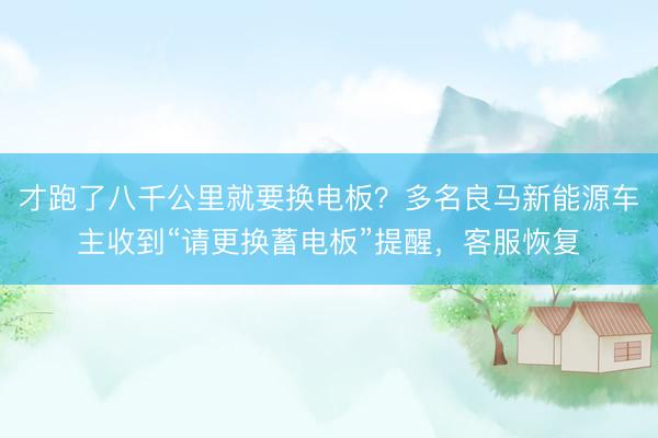 才跑了八千公里就要换电板？多名良马新能源车主收到“请更换蓄电板”提醒，客服恢复